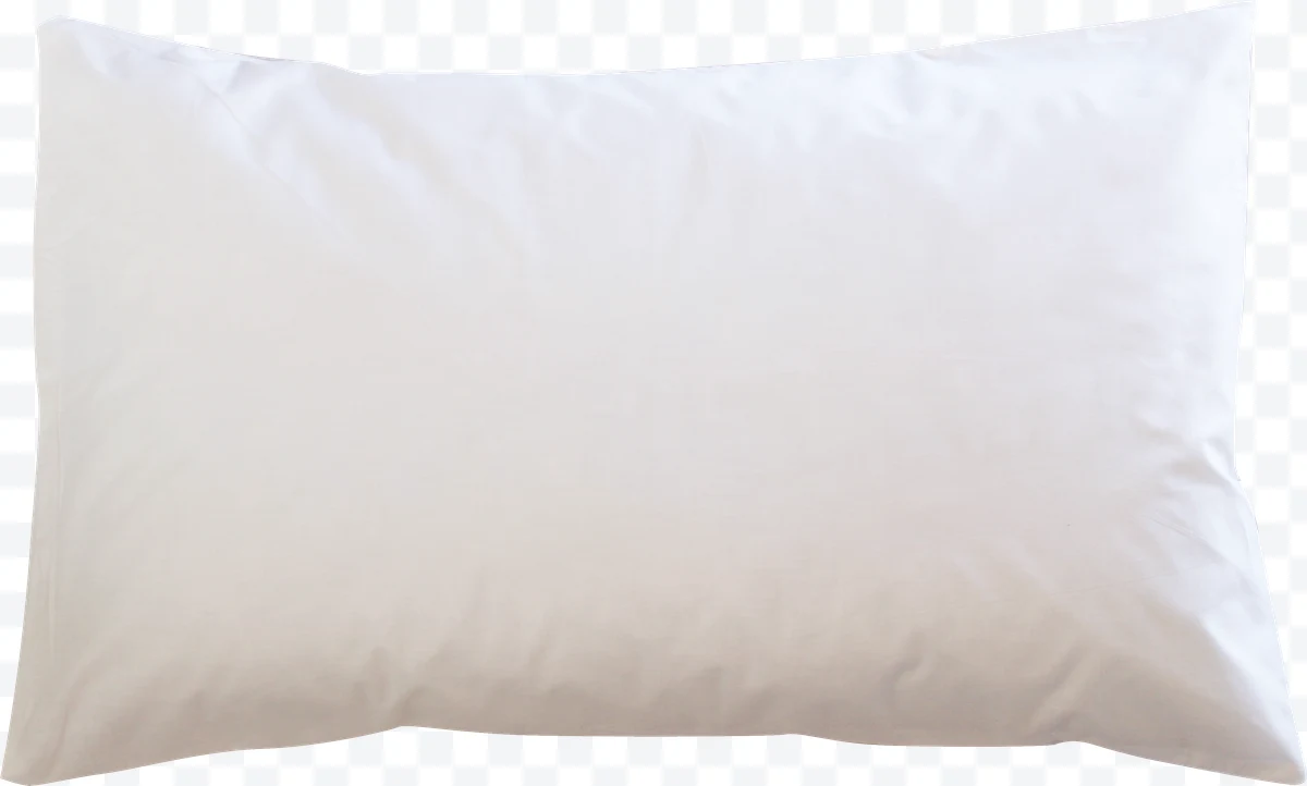 White rectangular pillow