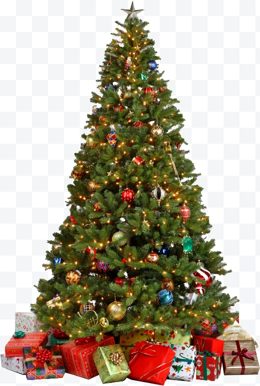 Christmas tree decorated with lights and ornaments, with gifts at the base