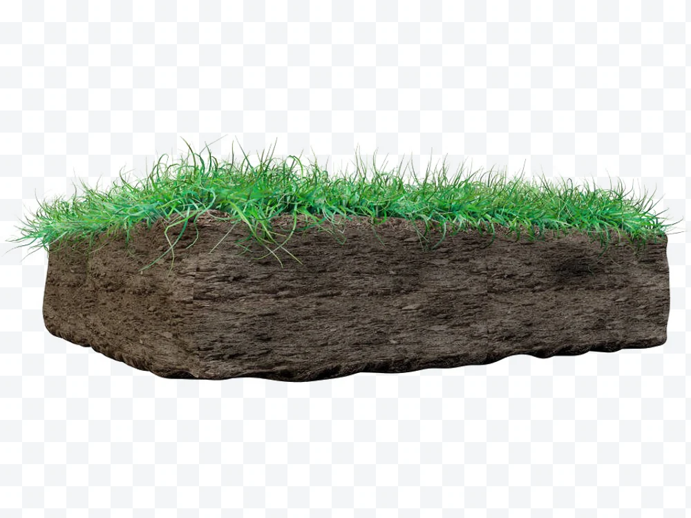 Block of soil with green grass on white background.