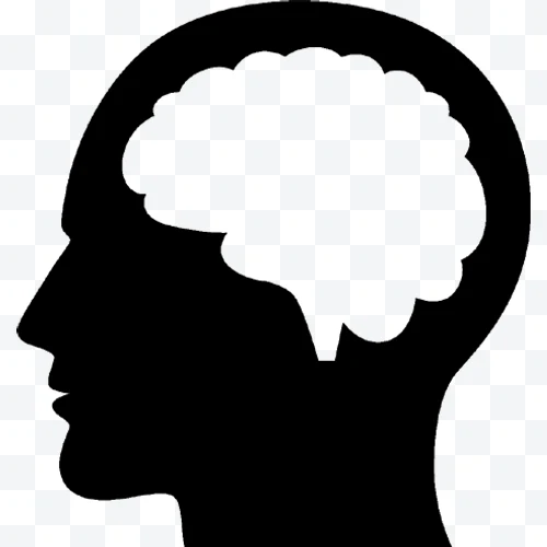 Head with Brain
