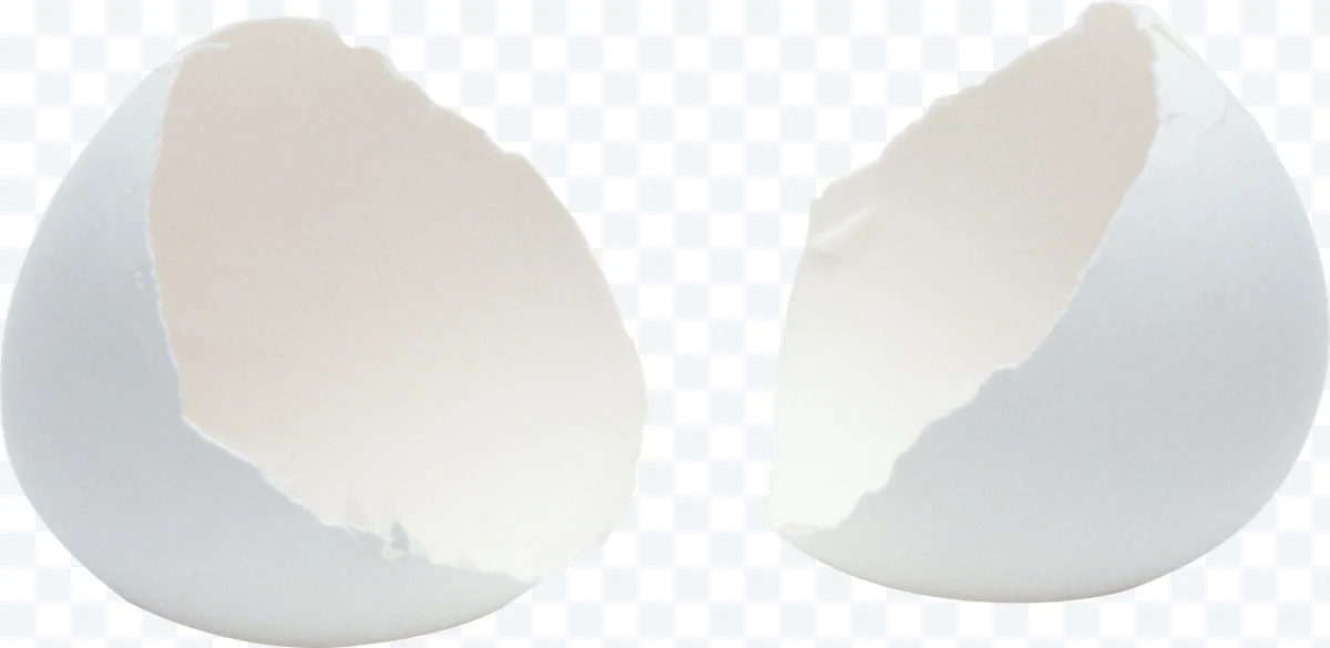 Two halves of a broken white eggshell.