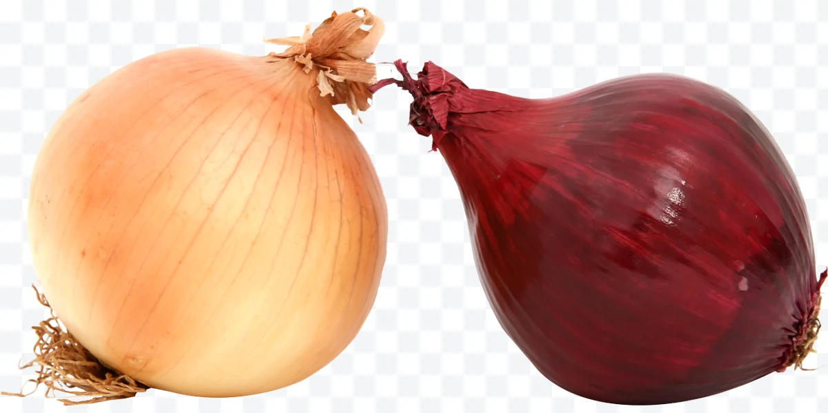 Yellow onion and red onion side by side.