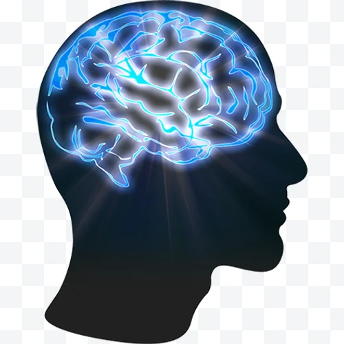Illuminated human brain inside head silhouette