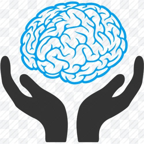 Brain held by hands