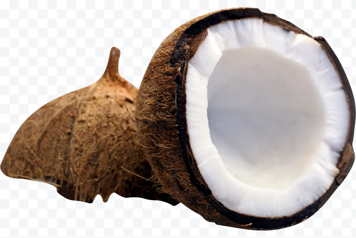 Split coconut
