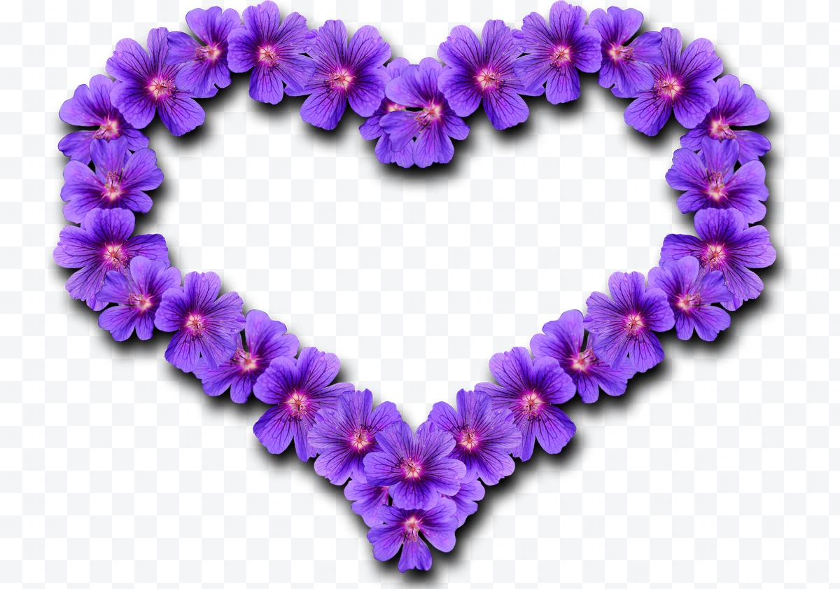 Heart of purple flowers on a white background.