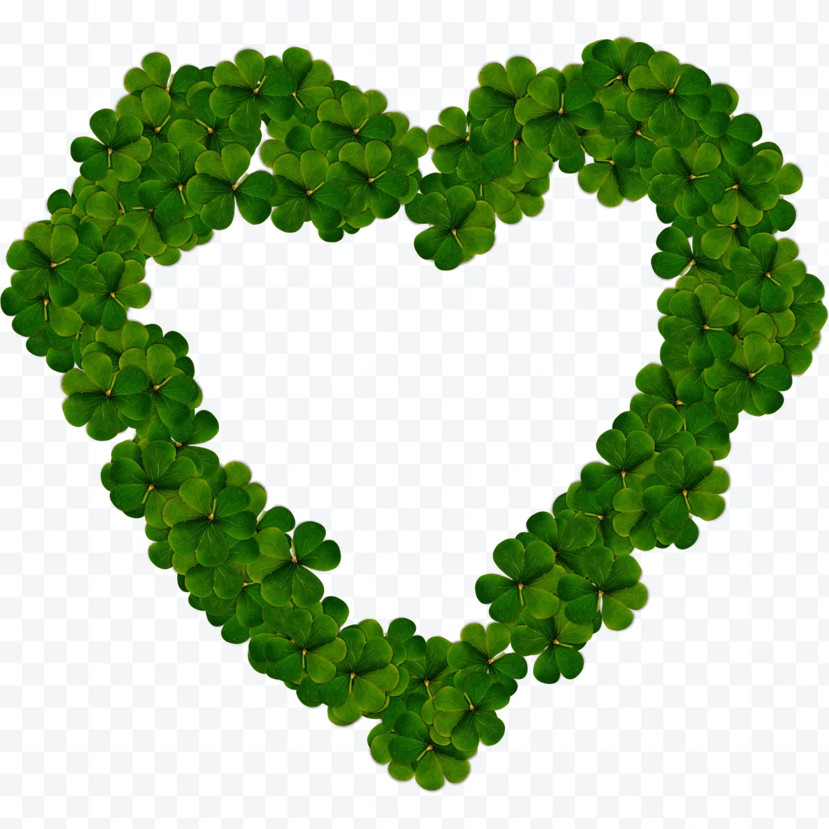 Heart made with green clover leaves