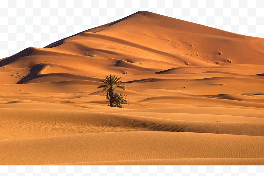 Sand dunes in the desert