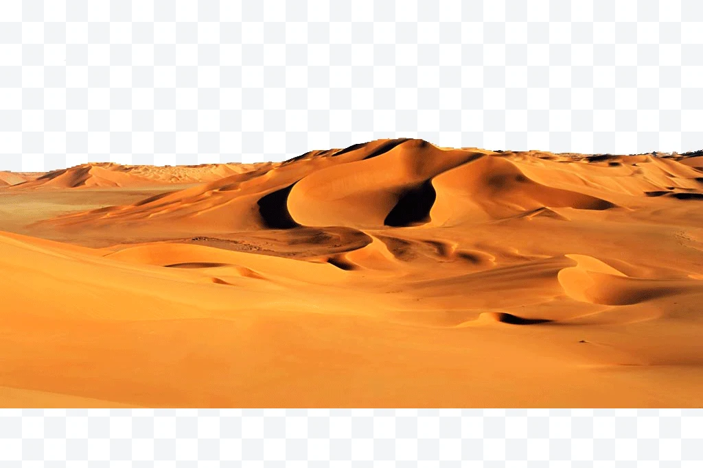 Sand dunes in the desert