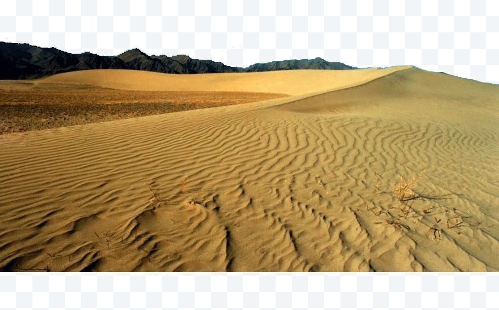 Sand dunes in a desert