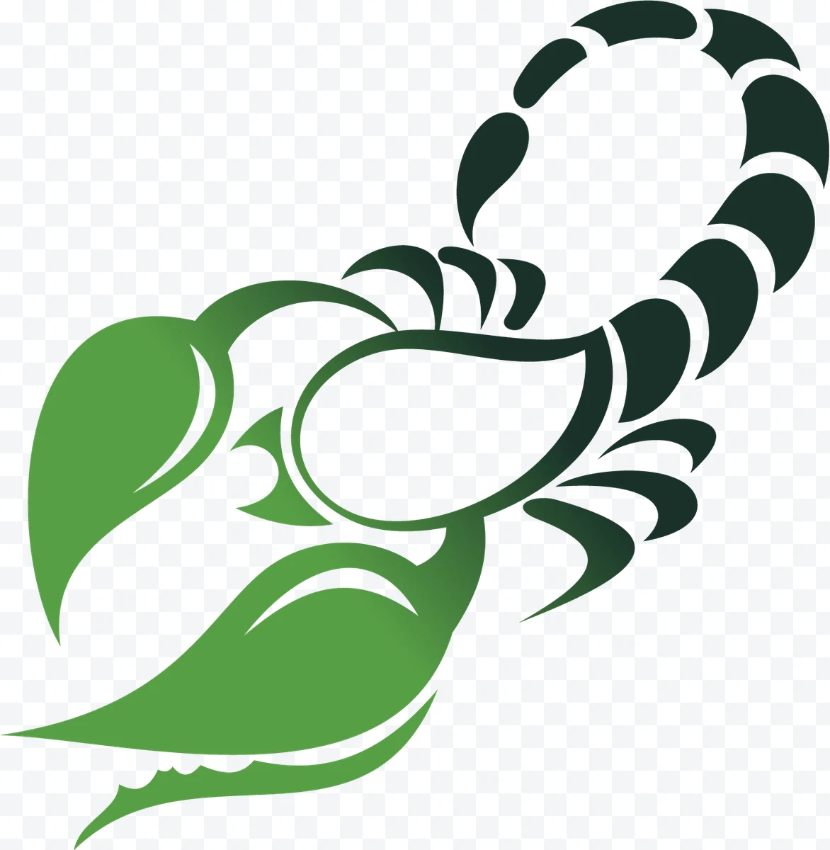 Stylized Scorpion