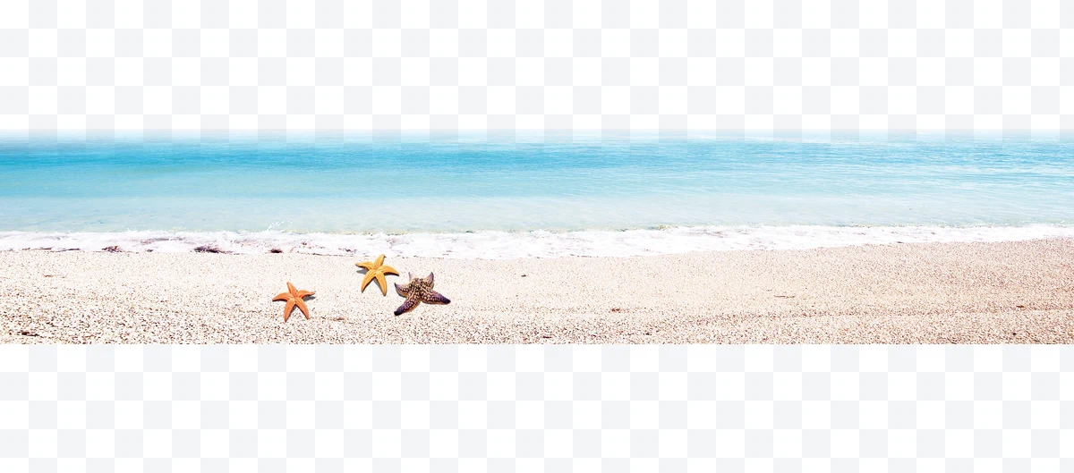 Starfish