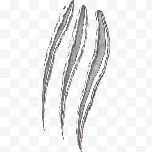 Animal claws