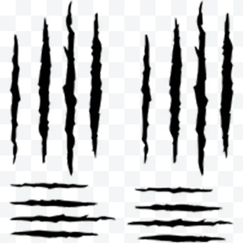 Scratched claws