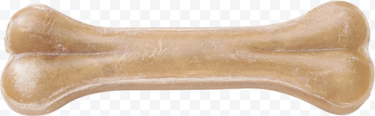 Beige dog bone with rough texture