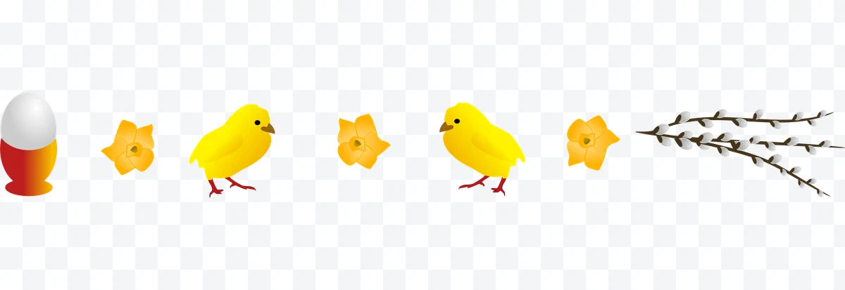 Egg, flower, chick, flower, willow twigs