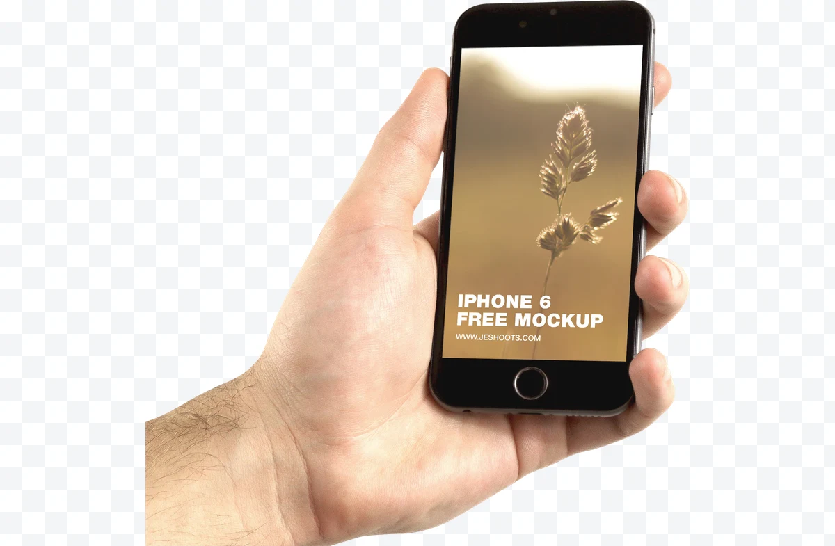 iPhone 6
