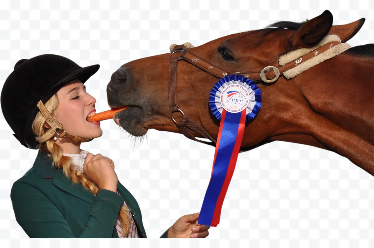 French Equestrian Federation Logo