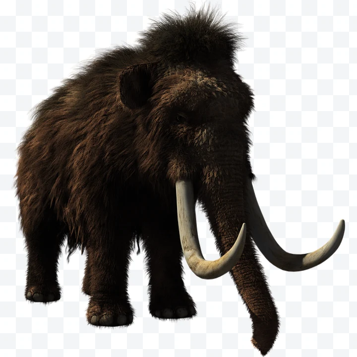 Woolly mammoth