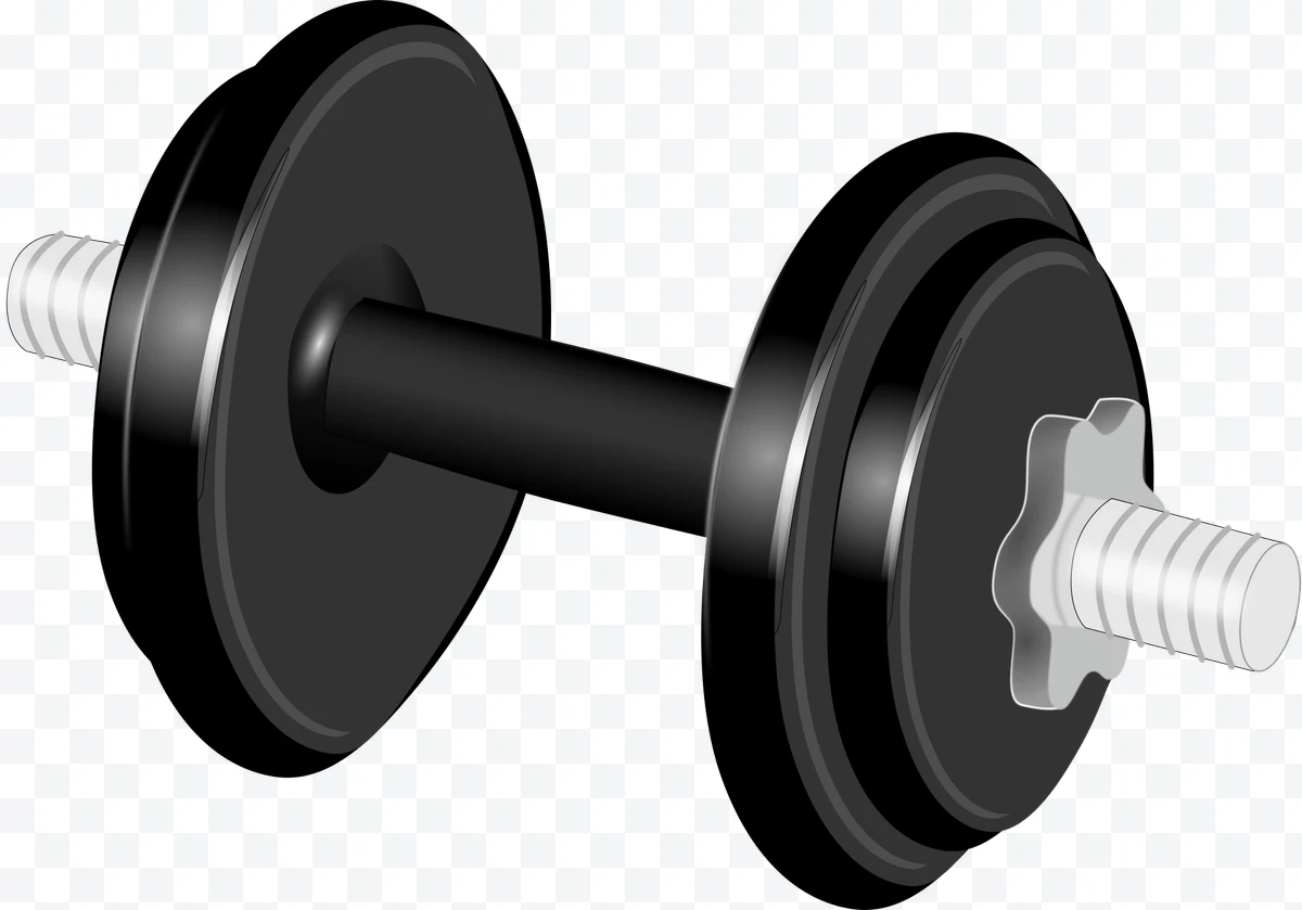 Black metal dumbbell with plates and star lock