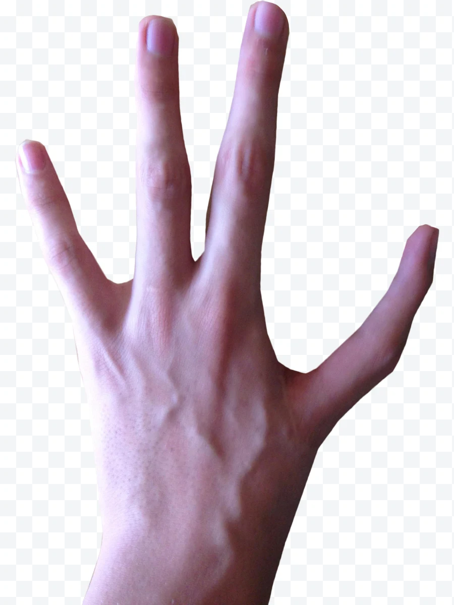 Open human hand with extended fingers on a white background