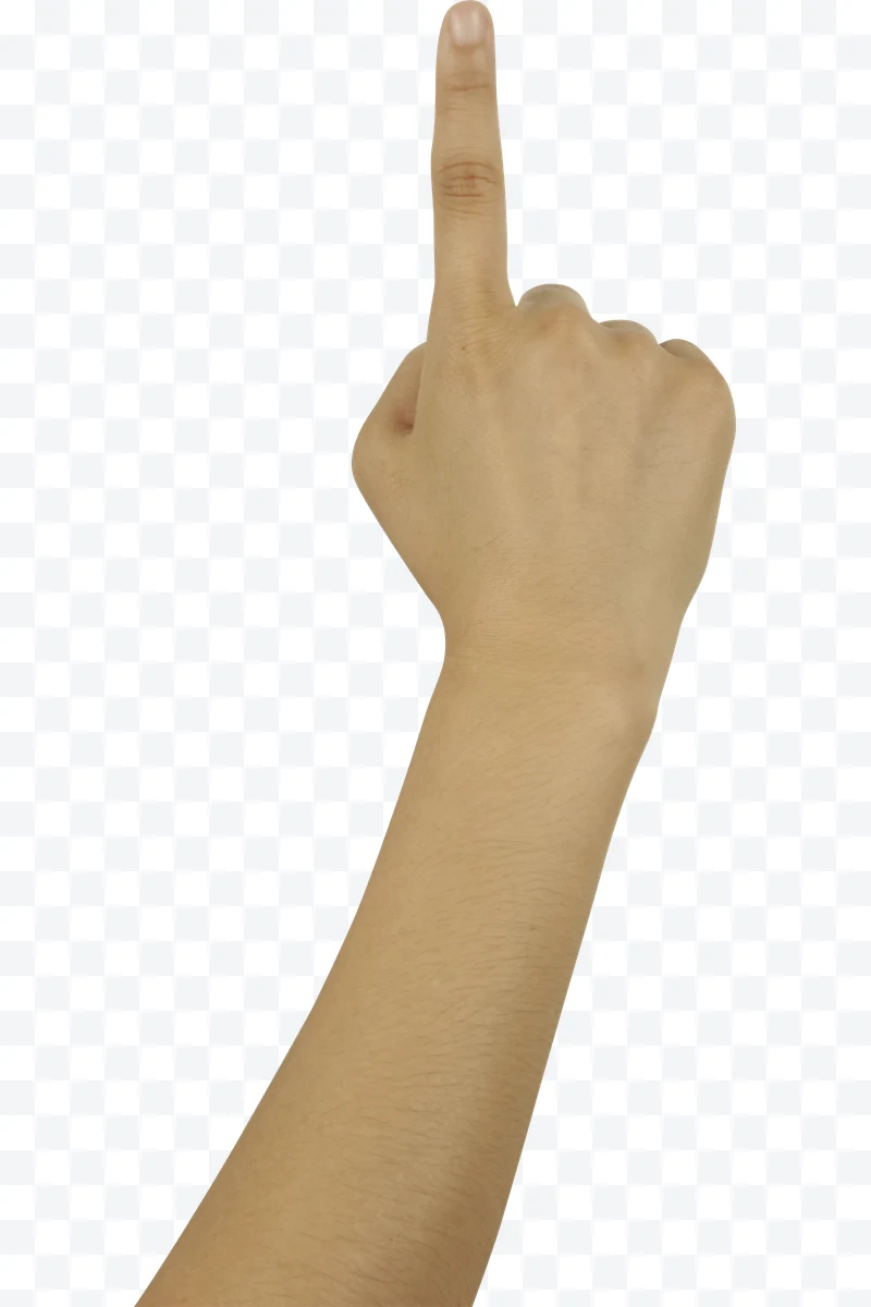 Human hand with raised index finger