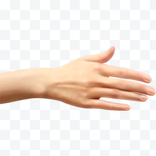 Right human hand with extended fingers
