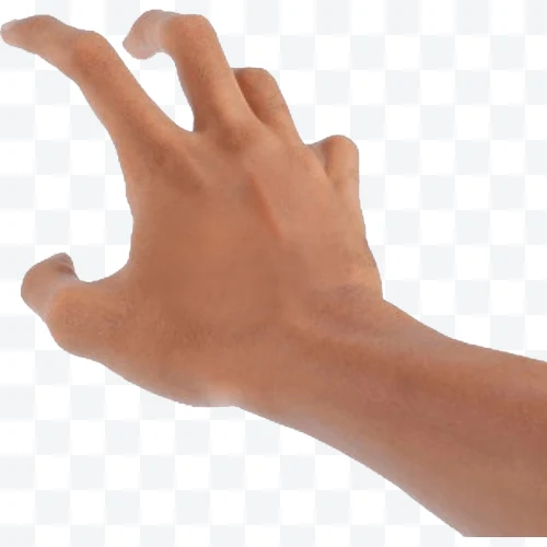 Right human hand with extended and curved fingers