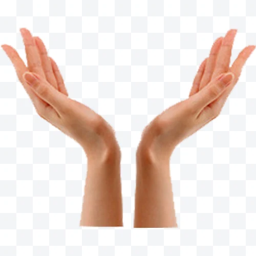 Two open hands with palms facing up on a white background.