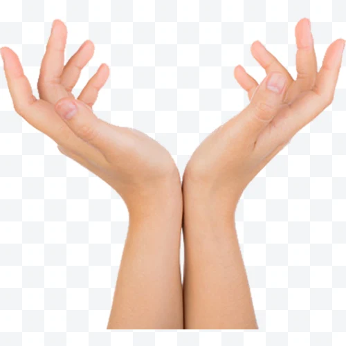 Hands open upwards with slightly curved fingers