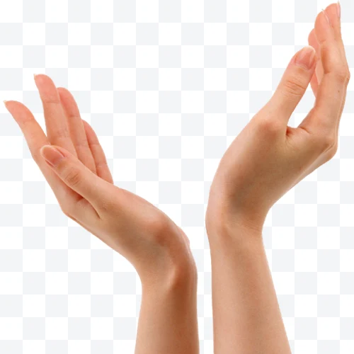Two open human hands with palms facing up on a white background.
