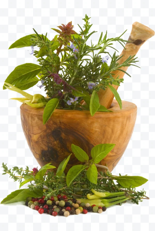 Wooden mortar with herbs and spices