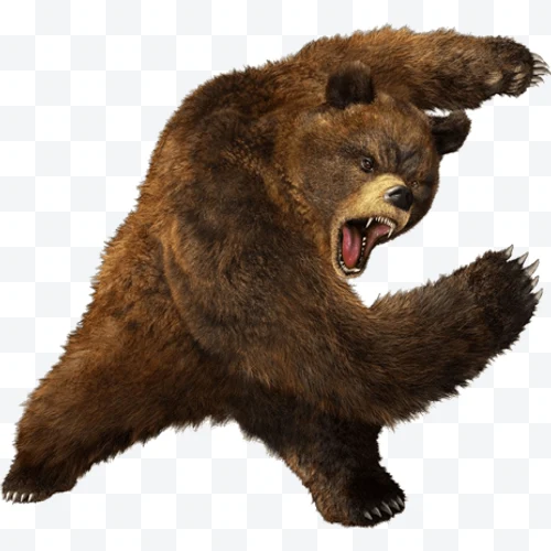 Brown bear
