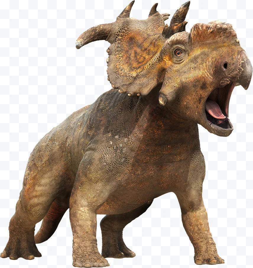 Pachyrhinosaurus