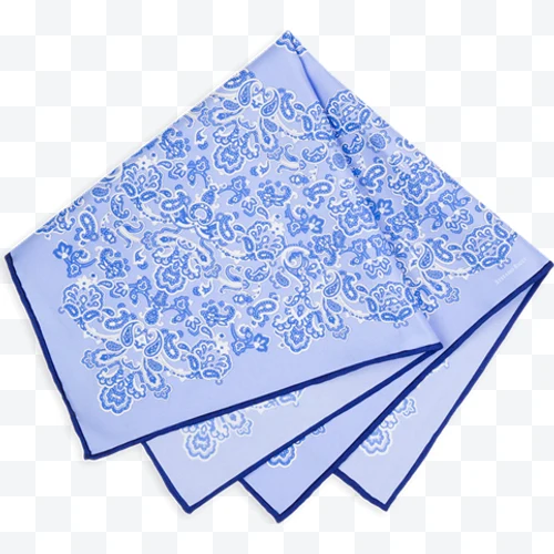Blue scarf with paisley design