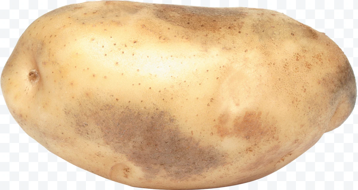 Whole potato with light skin and brown spots