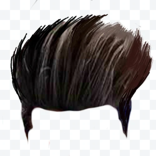 Men's Hair Hairstyle
