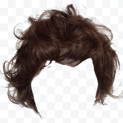 Short brown curly hair wig with voluminous texture