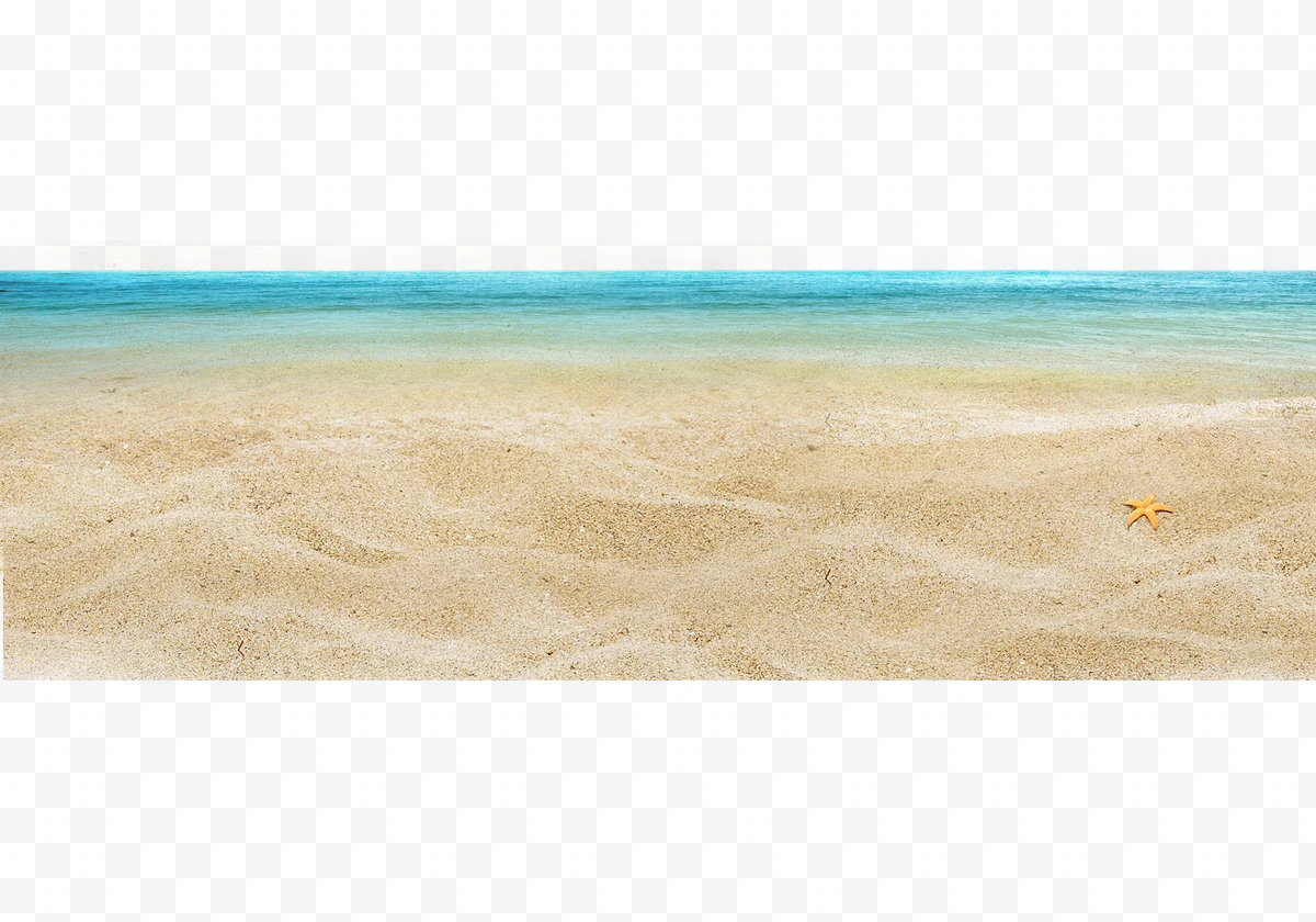 Beach with starfish