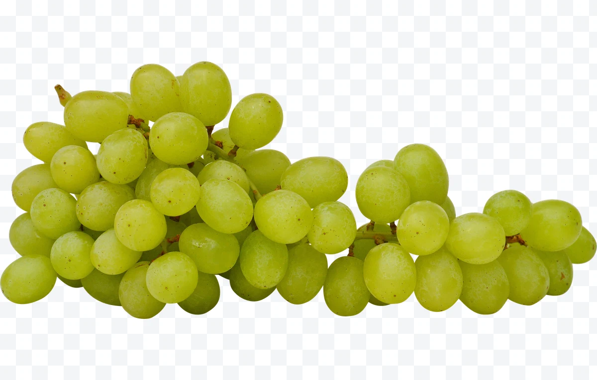 Green grape cluster