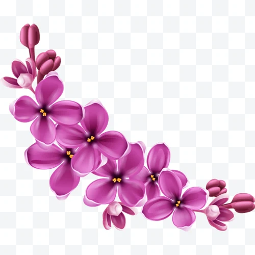Lilac flower bouquet