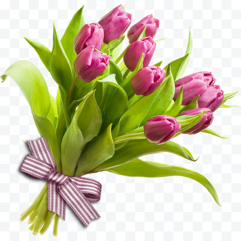 Pink tulip bouquet with ribbon