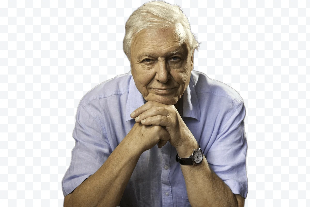 Portrait of David Attenborough