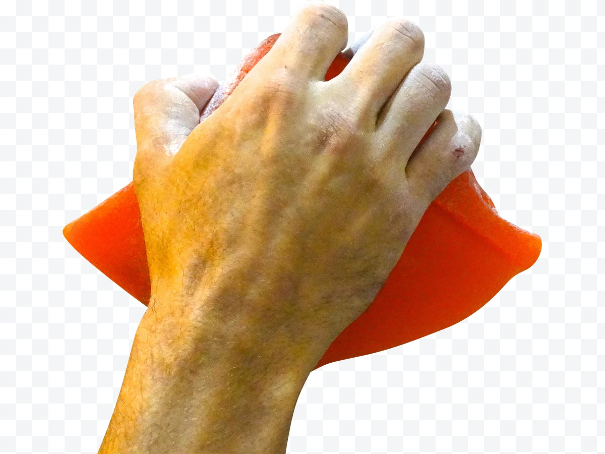 Portrait of Human Hand