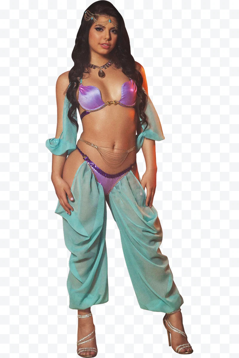 Portrait of Woman in Arab Princess Costume