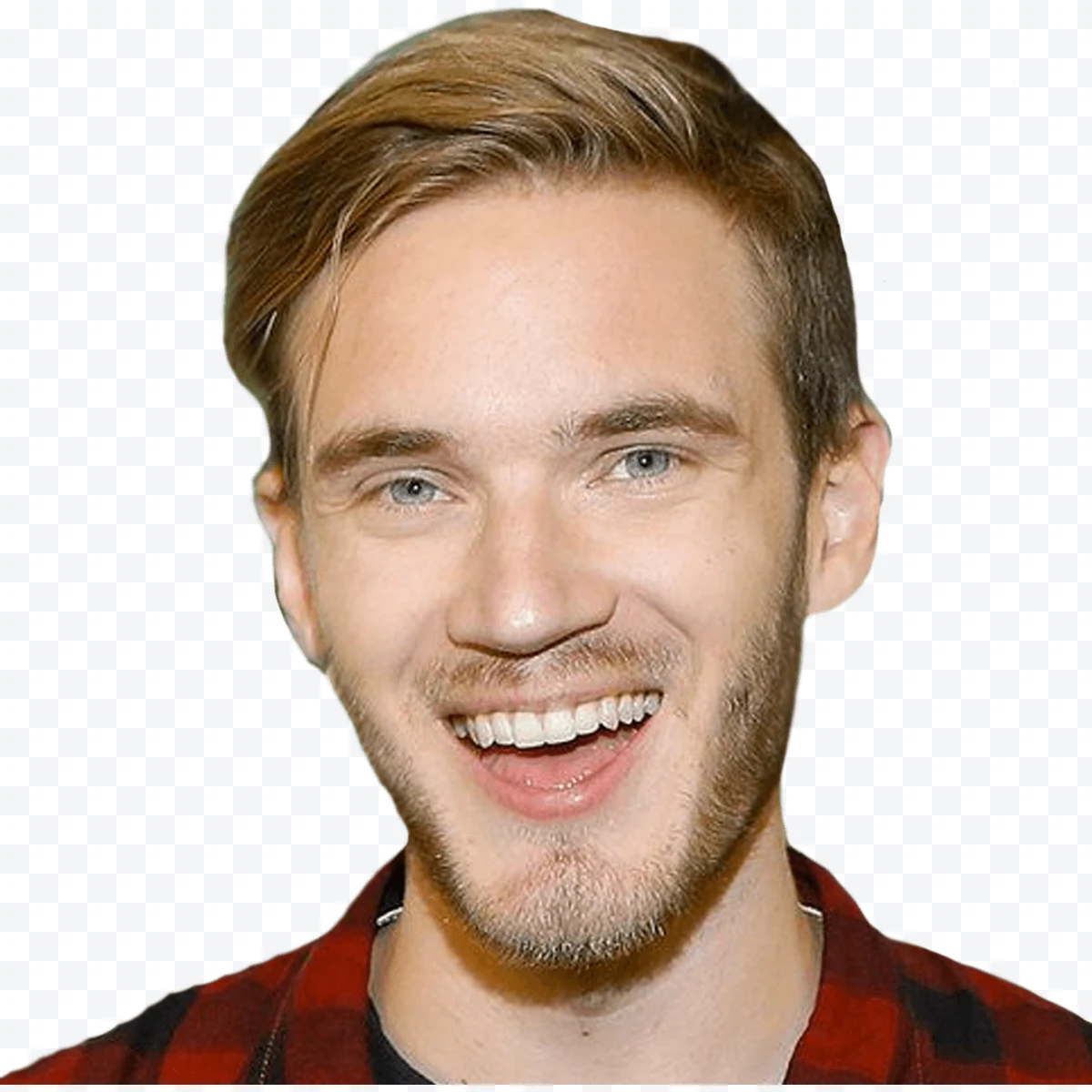PewDiePie Portrait