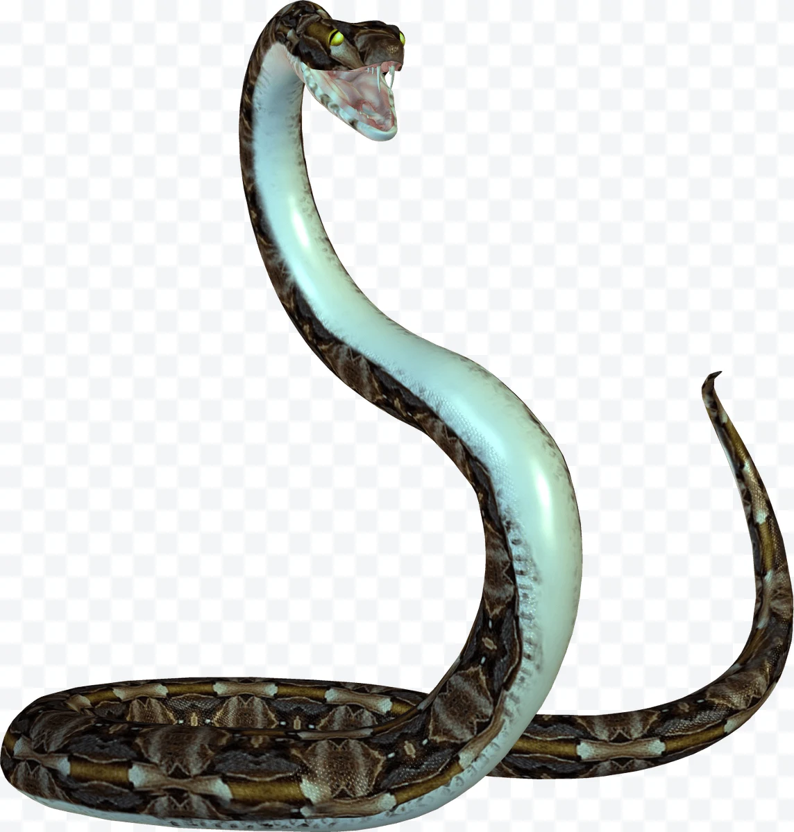 Brown and white python snake with open mouth and yellow eyes