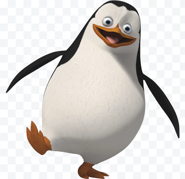 Skipper (The Penguins of Madagascar)