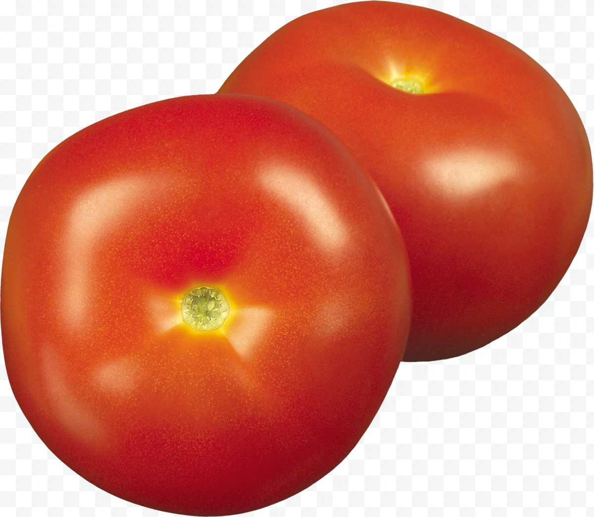 Two fresh red tomatoes on a white background.