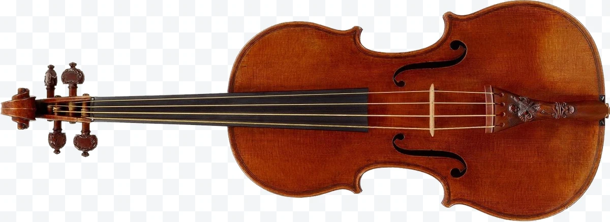 Violin